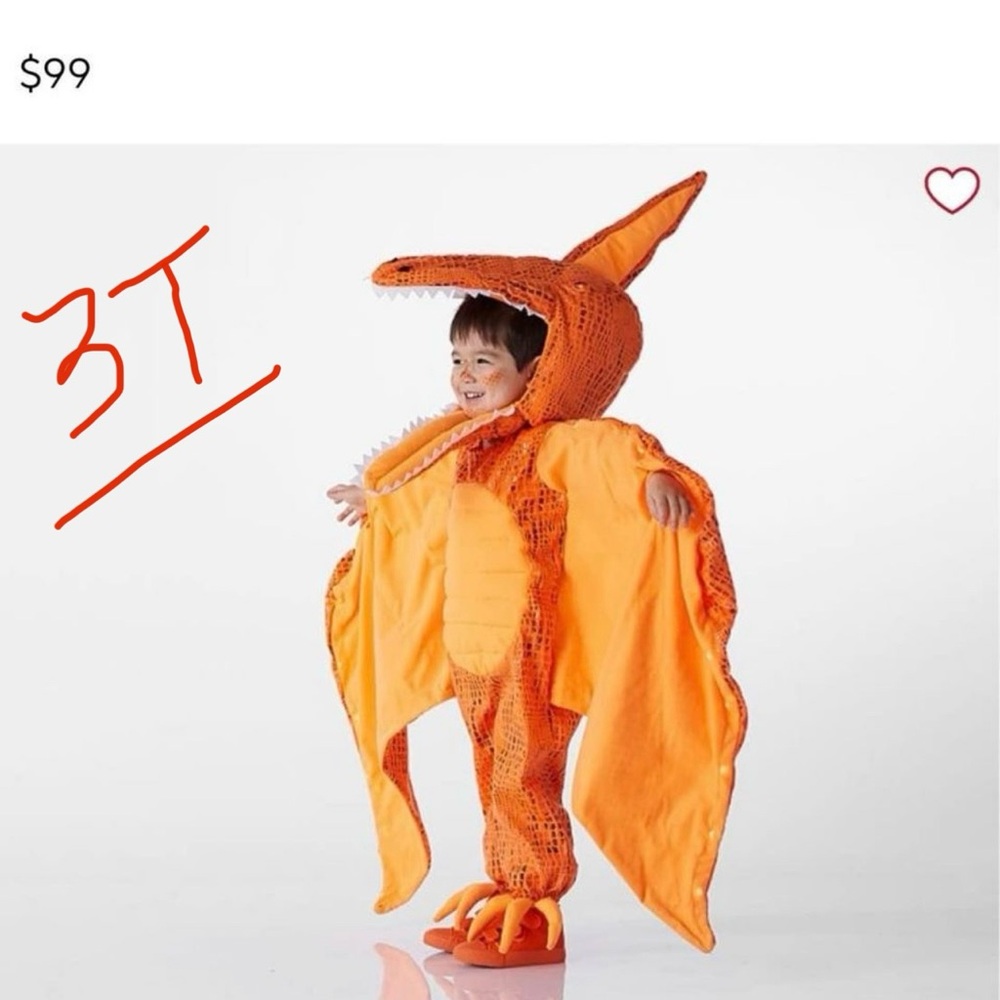 Light up pterodactyl Dinosaur pottery barn costume 3t